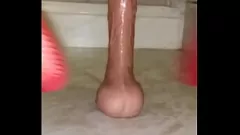 Reproducir Insaciable Latina Shemale se folla con juguetes y casi se rasga las bragas